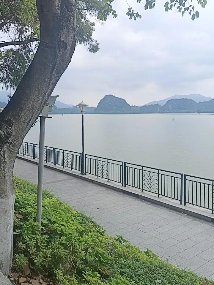 我终于知道了为什么说广东的风景要看肇庆原来有七星岩和鼎湖山，肇庆确实风景优美
