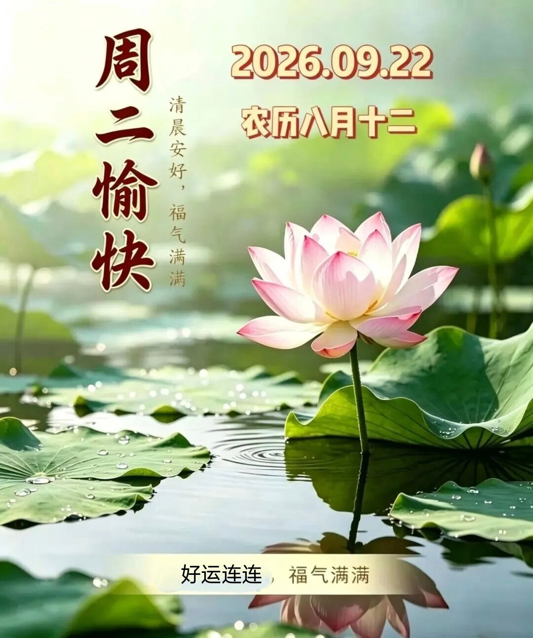 🌻9月22日，星期二，愿你带着秋日的清醒，把今天过成向上的答案！🎻💖🎸