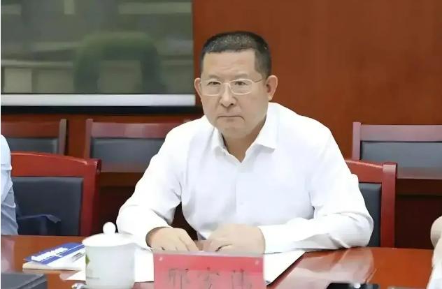 纪委再打一虎！央企前“一把手”被双开，注册会计师也救不了他。8月3日，中央纪