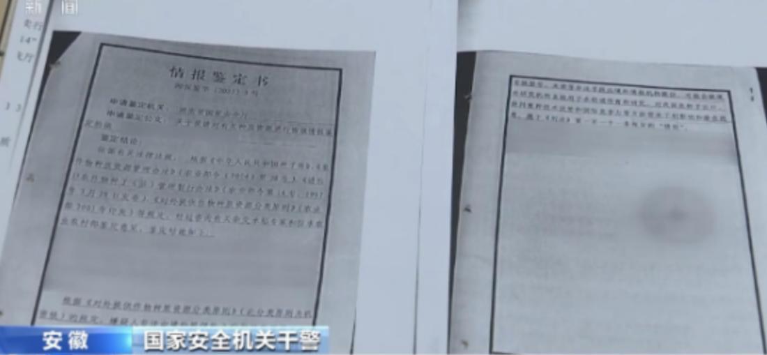 “应该立即死刑！”央视新闻在4月14日曝光了一起惊天大案：我国杂交水稻之父袁隆平