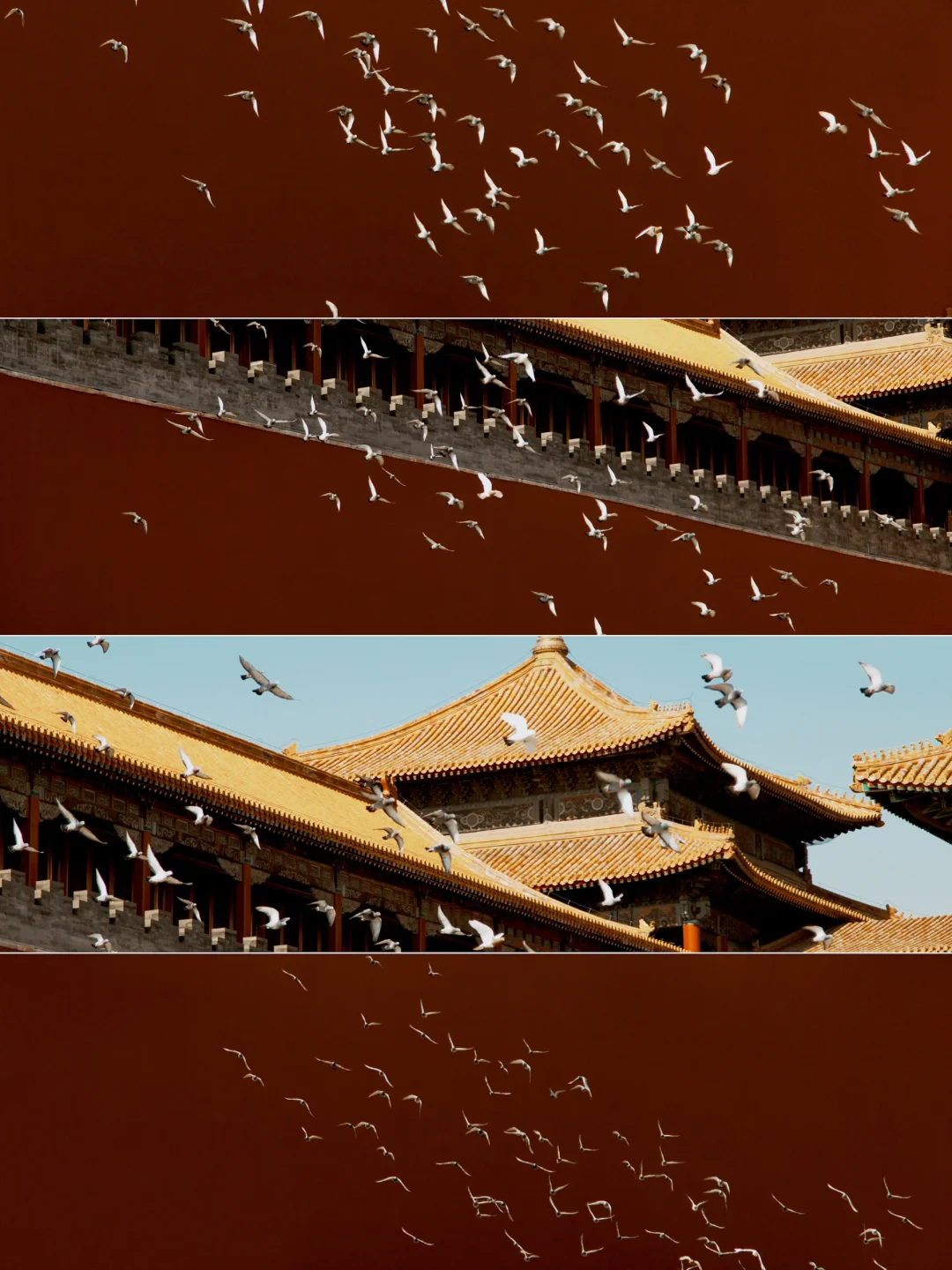 600年的故宫，照片会记得很多事