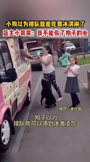 在国外，一只小狗看到人们排队买冰淇淋，误以为排队就能吃到，于是也加入队伍。它满心