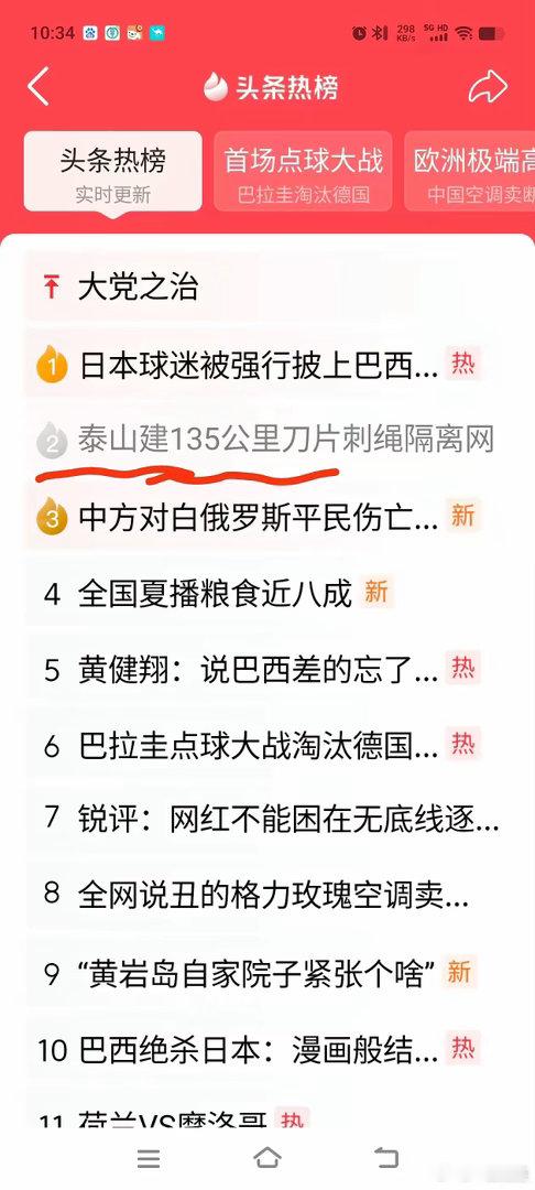 第一，建议上级部门审计泰山景区刀片铁丝网封山工程是否存在经济问题。第二，追究泰山