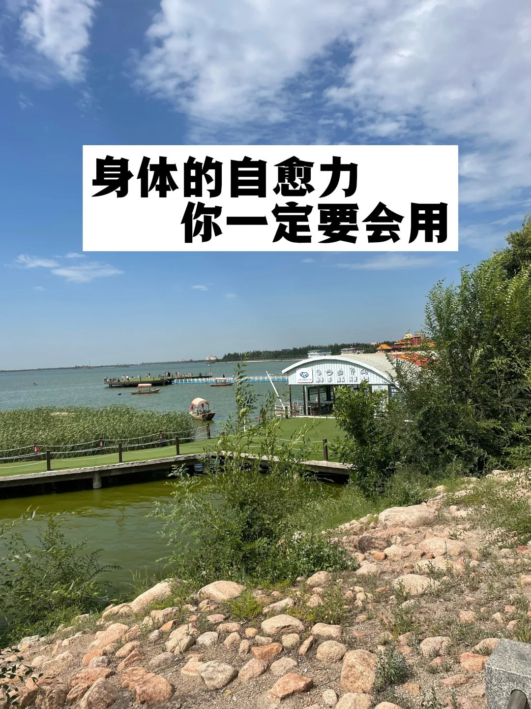 身体的自愈力，你一定得会用！