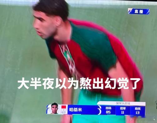 哈基米参加了世界杯本来以为是世界杯上有猫咪出名了，没想到是真有个队员叫翻译是哈