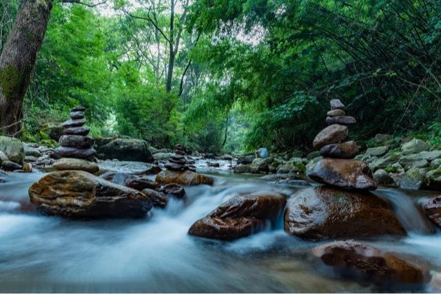 春天的苏州园林，一步一景，美不胜收～​​​