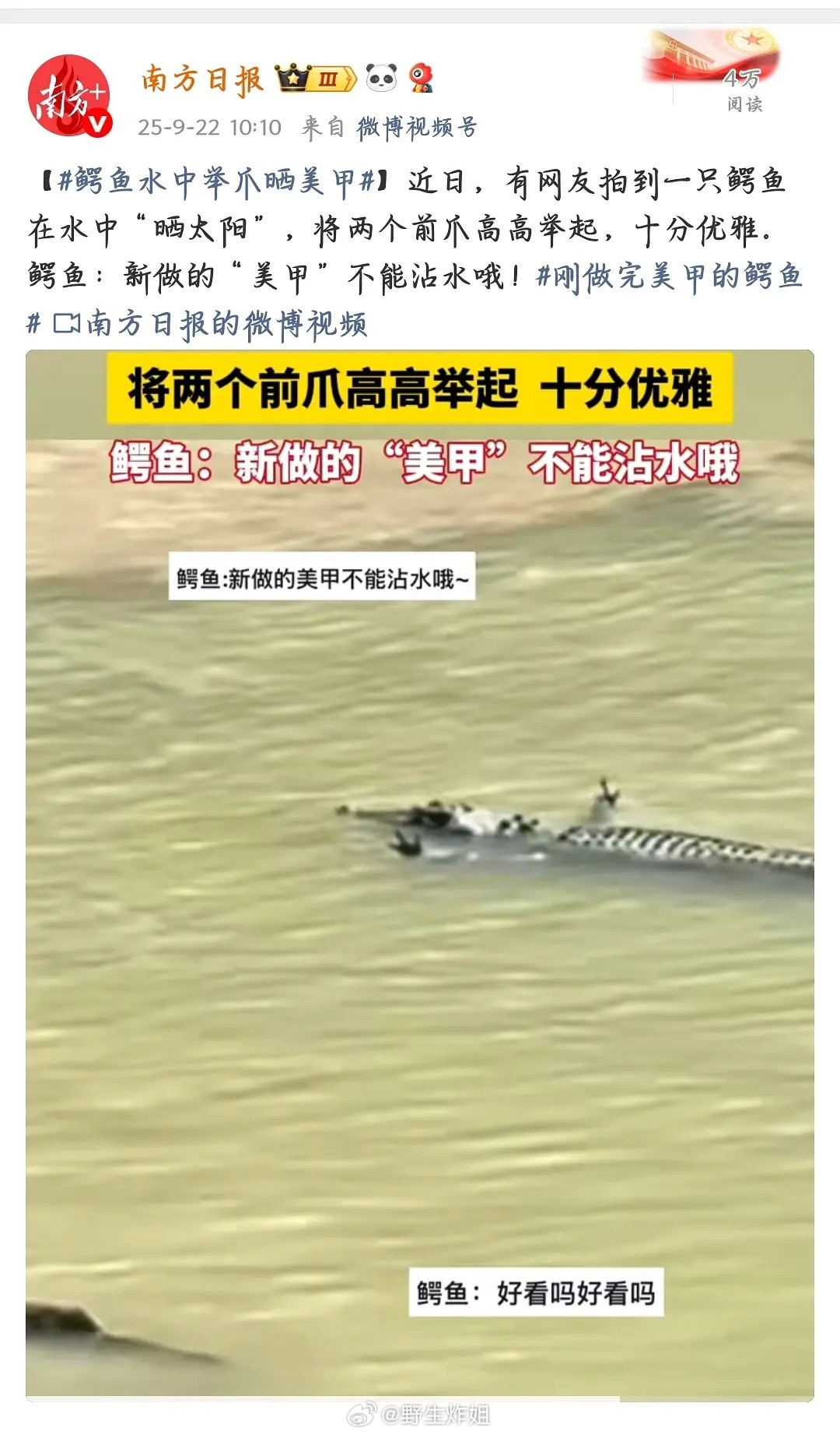 这个南方日报天天哪去找那么多鳄鱼呀[捂脸哭]​​​