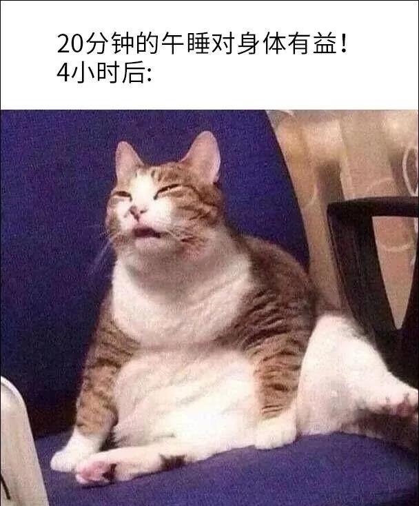 一波梗图来袭抽象梗图搞笑此图有梗