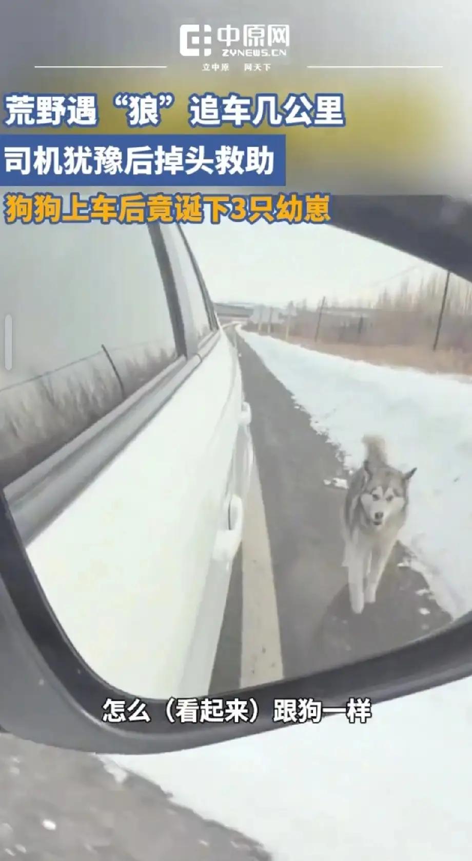 “真的看哭了”！3月3日那天，黑龙江嫩江还飘着雪，天寒地冻的，路上积雪没化，车开