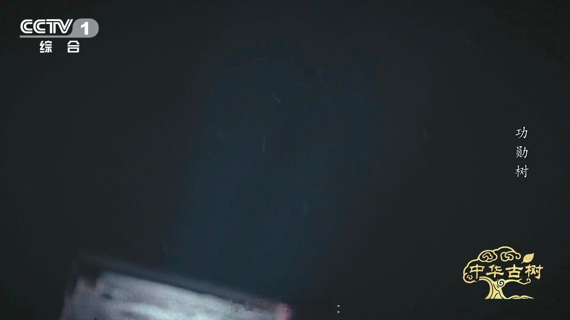 140岁落叶松救活一片荒漠一棵百岁树也能教人种树希望，以一棵树的形象具象化了。在