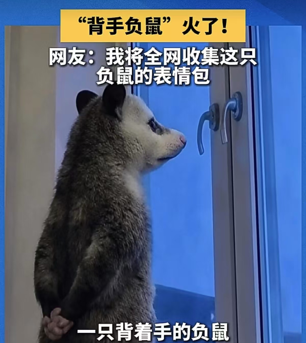 看见窗边“背手负鼠”, 看见职场年轻人 | 新京报快评