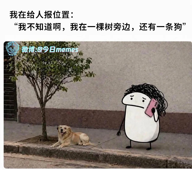 等会狗走了（9gag）今日meme今日memes