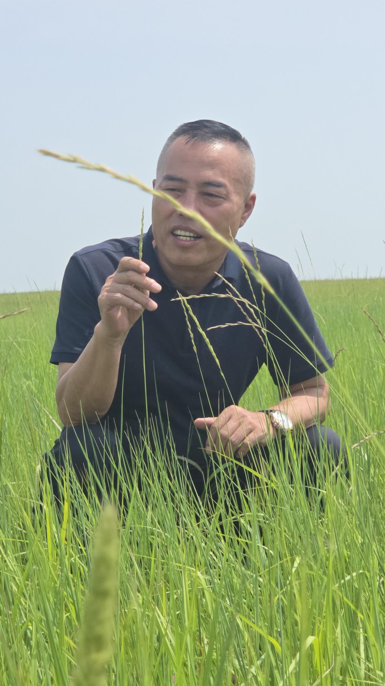 分享一下你随手拍的照片草原之恋。