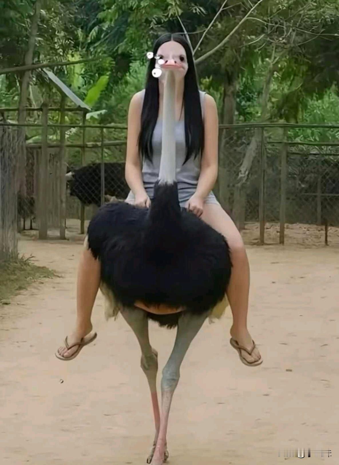 摄影界来了个天才，学过摄影和没学摄影的都懵了
