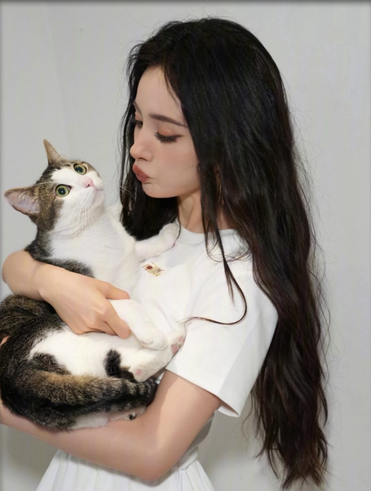 杨幂魂穿猫猫！巧巧给杨幂养的真好啊不管！小猫咪是我，我就是小猫咪🐱