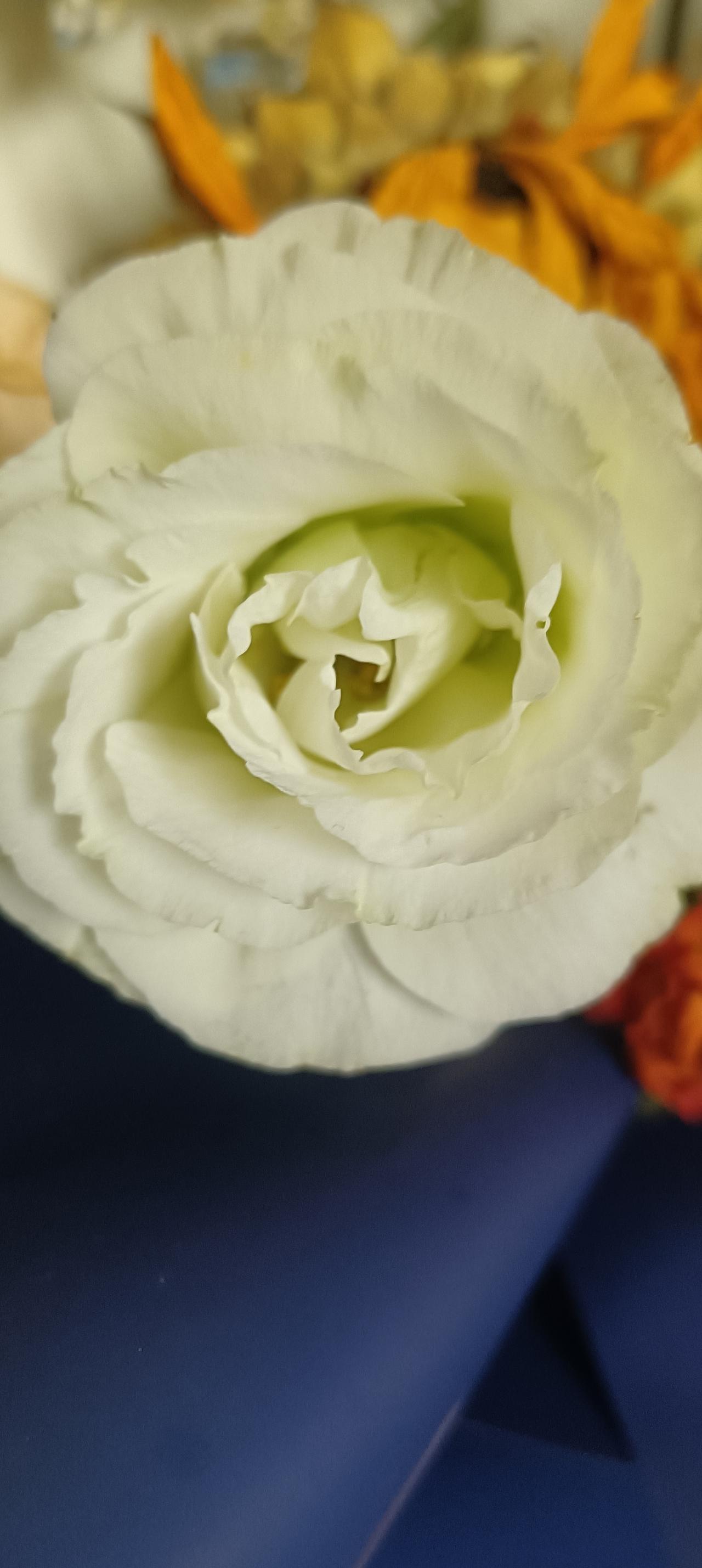 出高考成绩后，再研究填报的学校，还来得及吗？当然还来得及！别慌，高考填志愿其