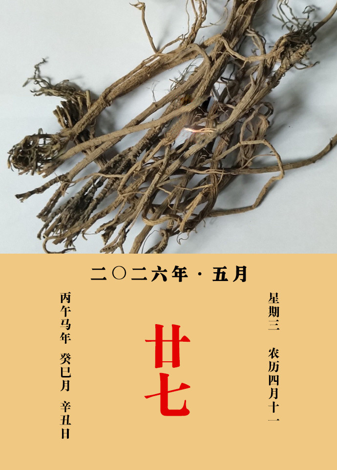 每天一味中草药甄权说：防葵，主痃癖气块，膀胱宿水，血气瘤大如盆者，悉能消散。邹