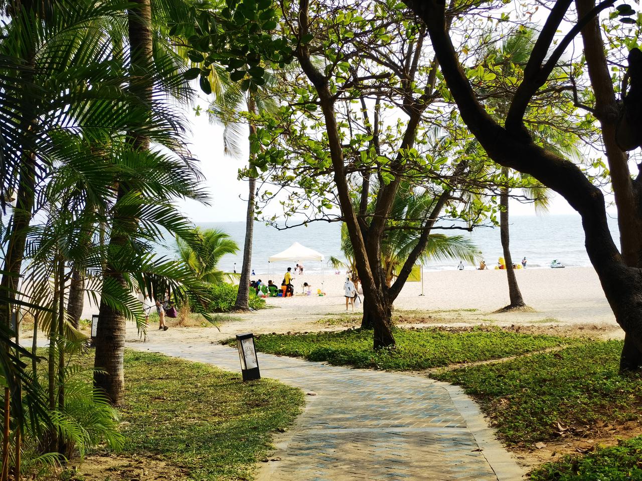 外国游客回国集体“犯病”？这“中国综合症”太真实了！最近好多外国游客从中国