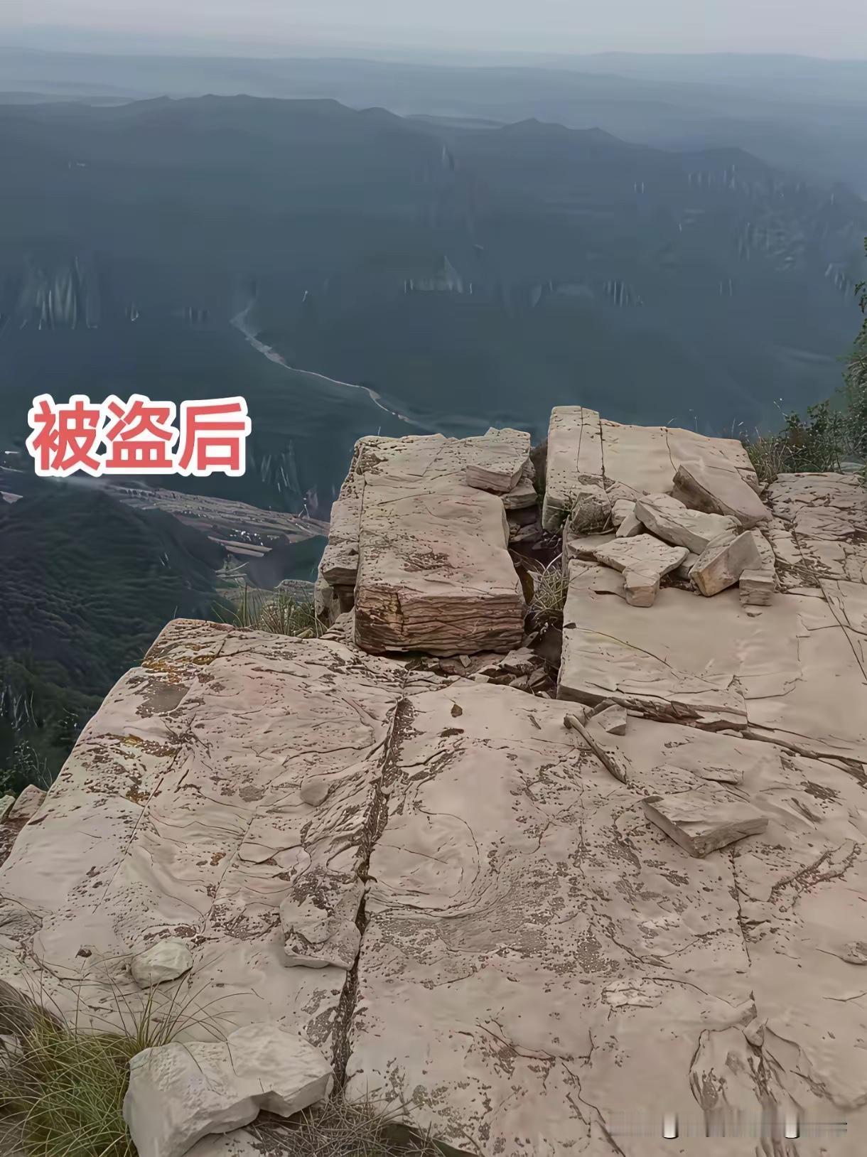 看到这一幕太行山河南段一棵网红罗汉松“被盗挖”…在驴友圈和网红圈引起了强烈