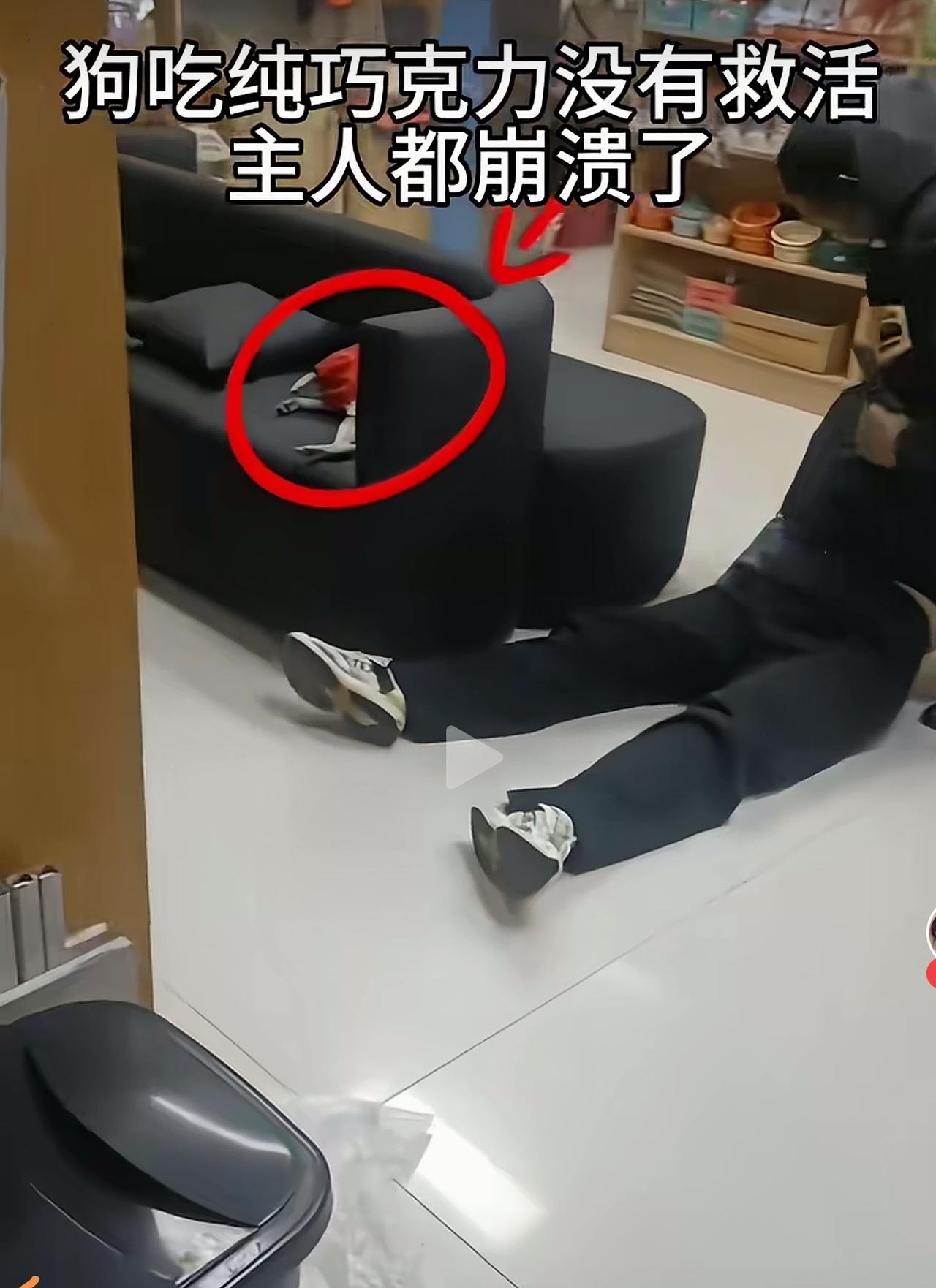 这个真的不违法不犯罪。