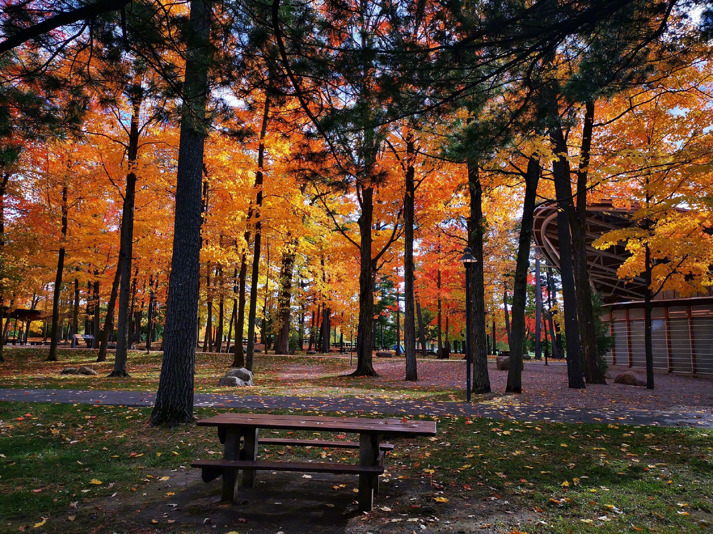 【这里是加拿大】“Ottawa是一座把自己融入风景中的城市，与自然和谐共处，枫叶