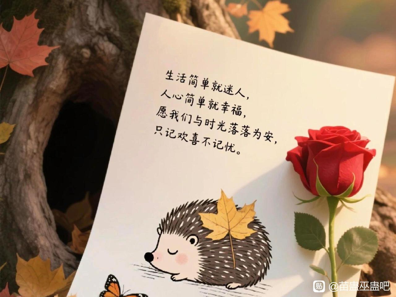 六十岁以后，你要想多活几年，一定要记住，谁都不要管，先管好你自己，这不是自私，也