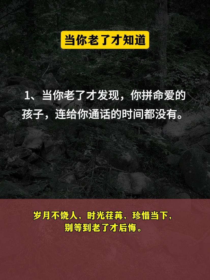 值得深思人生感悟智慧人生