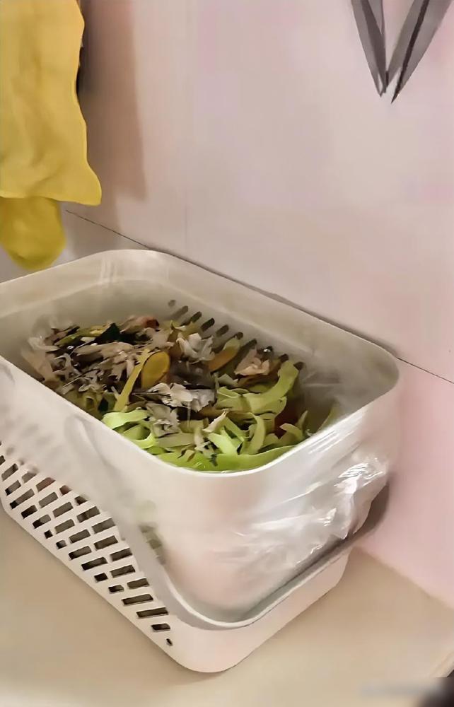 当我在同学家看到这个垃圾桶时，我觉醒了。说实话，我家厨房用过好几种垃圾桶，带