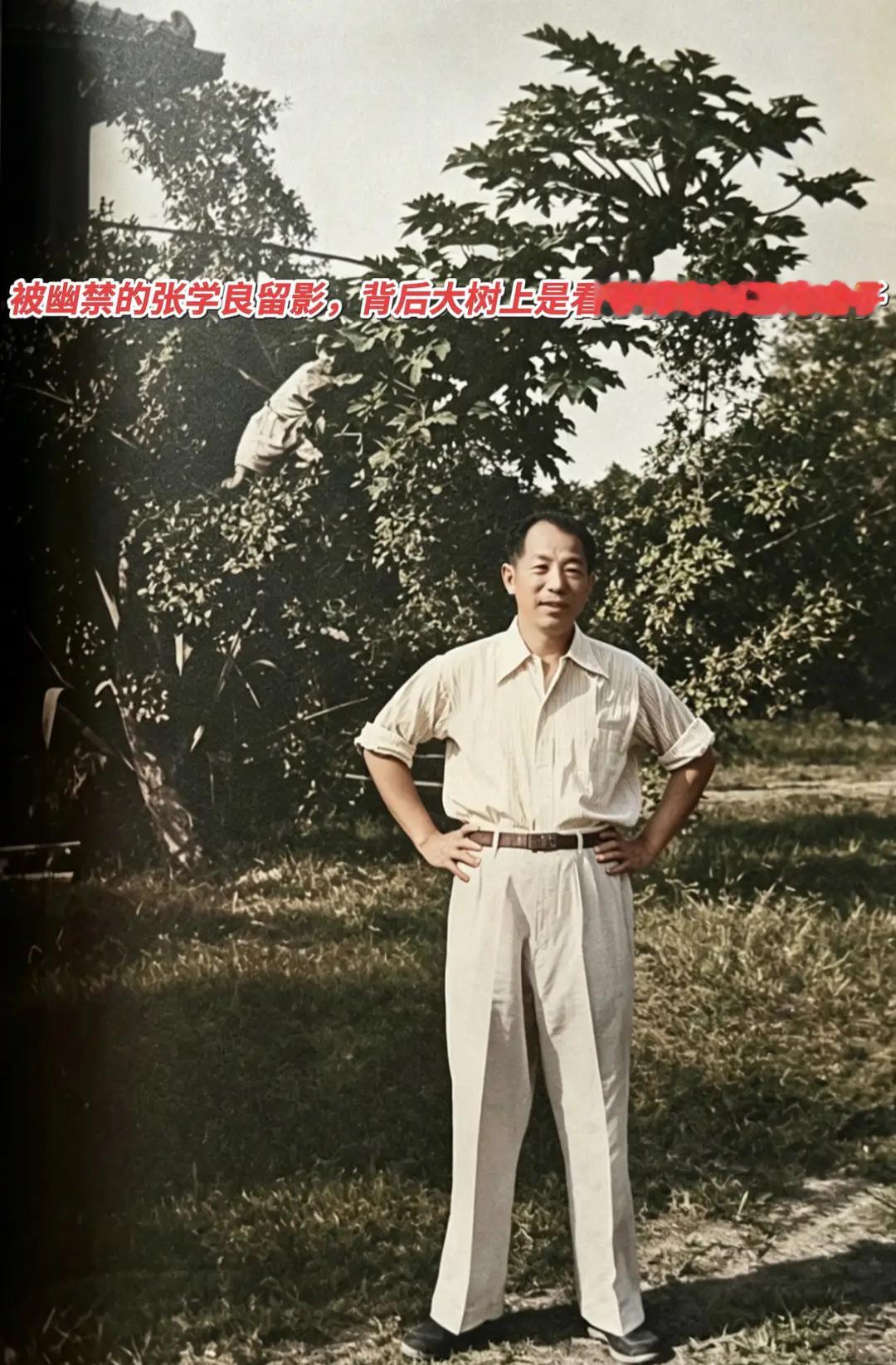 张学良被长期软禁在台湾期间的一张有故事的照片。大家注意看照片，后方大树上有一个少年，他是负责看守张学