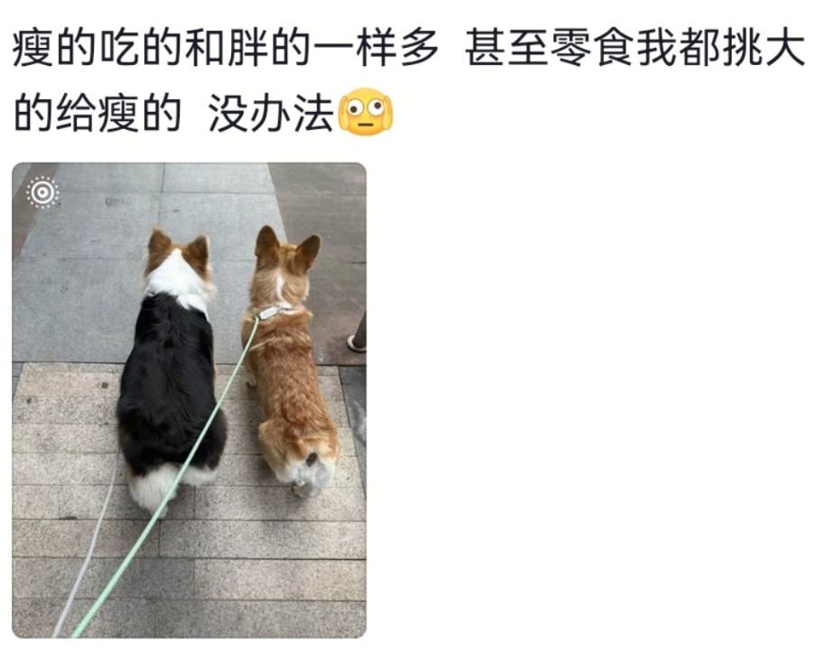 在感觉基因也不是那么重要了