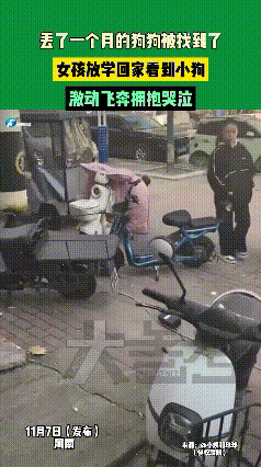 谁说动物不懂深情？河南这只走失45天的狗狗，用一声回应、一次扑跳，