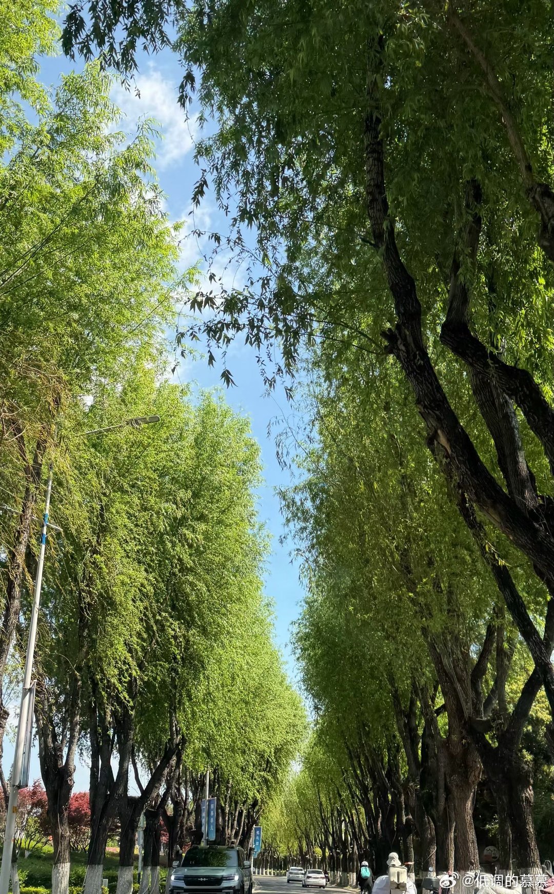 春天的每一个镜头都值得留念