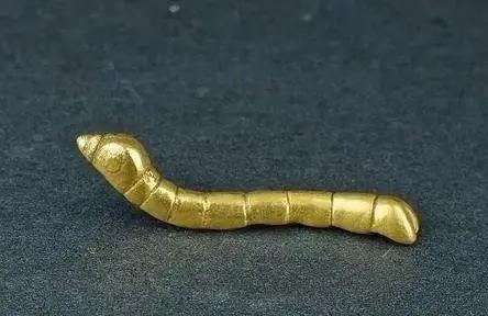 1984年，陕西一小孩在河滩边玩耍，突然捡到一只金光闪闪的小虫子，觉得好玩便放进