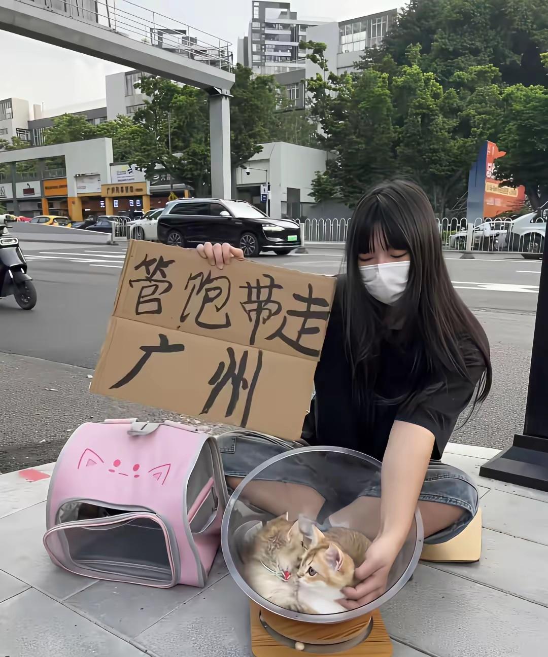 管饱还能带走？要带走她的猫，猫粮大概率用她指定的，猫用品也得按她的来，猫的所有权