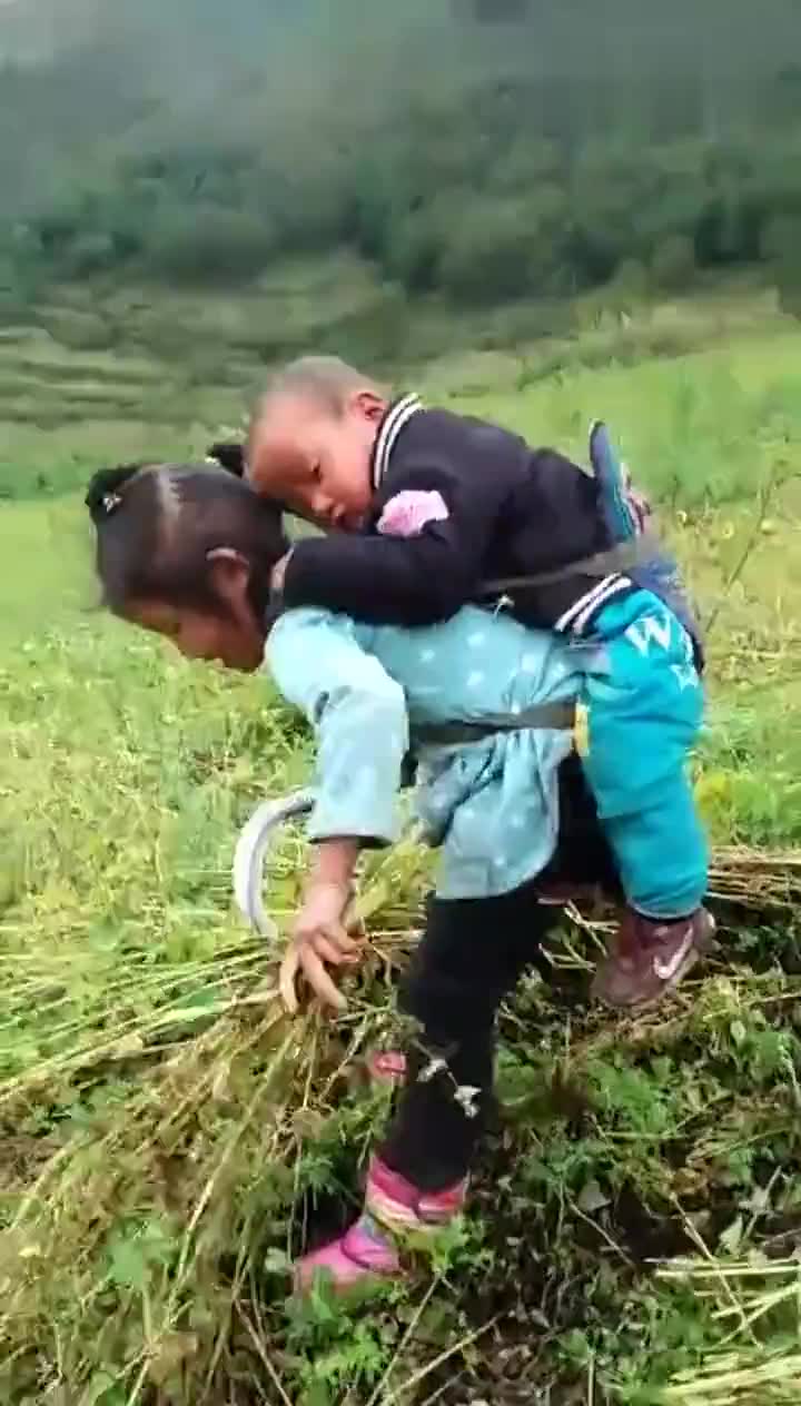 7711859257055133300.jpg?id=0