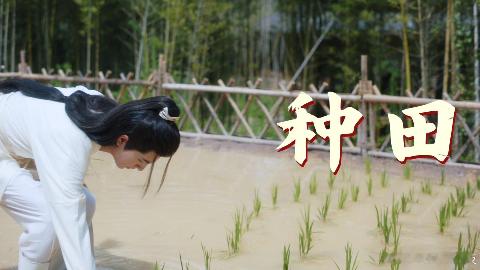 《勿扰飞升》定档11月15日开播！李宏毅、陆婷玉上演“反卷修仙”小甜剧～冷面战神