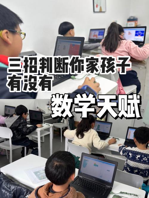 我见过有数学天赋的小孩，他们就像数学世界里的小探险家。课堂上，复杂公式他们能迅速