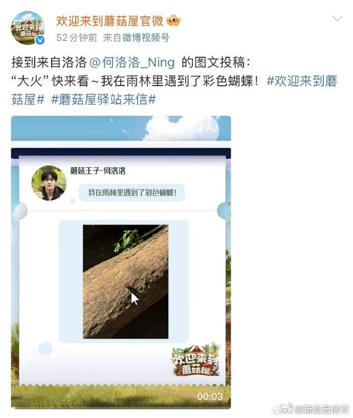 何洛洛分享彩色蝴蝶这是什么神仙画面！何洛洛镜头下的彩色蝴蝶，美得像从童话里飞出