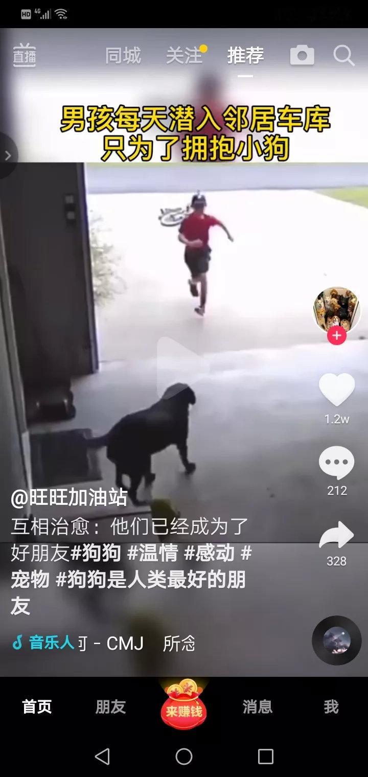 为了和狗狗的一个拥抱，男孩每天溜进车库，此时狗狗也在等着小男孩，然后小男孩匆匆离