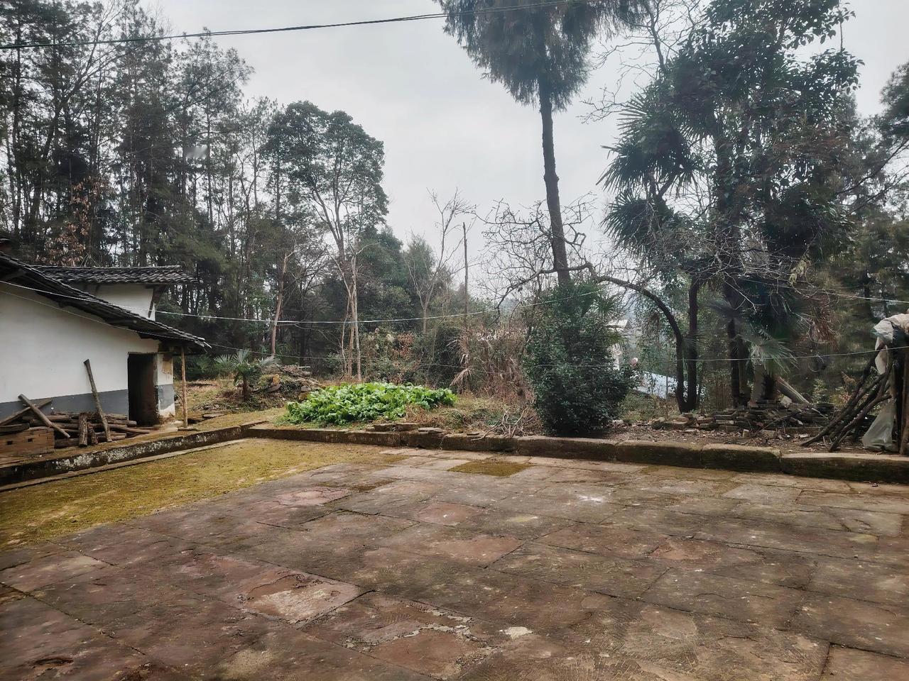 “为什么说我一直坚持禁止燃放窜天猴鞭炮”？据某音视频传闻，湖北某地一小孩在春节