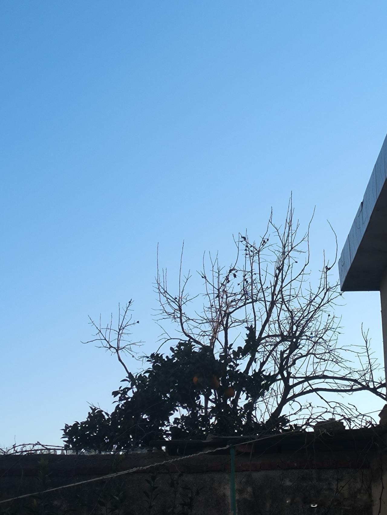 不要忘了。话总是带着能量。一旦说出口就收不回来了。无论是有意的还是无意的。