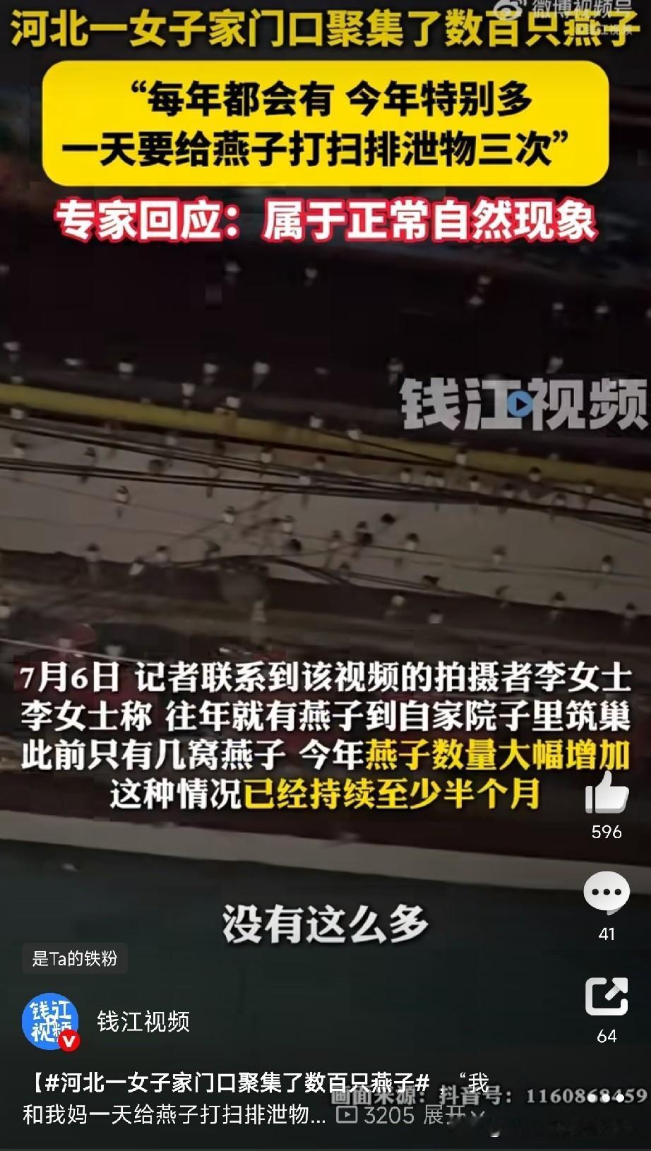 几百只燕子天天蹲在她家门口河北邯郸有位李女士，最近家里可“热闹”了——几百只