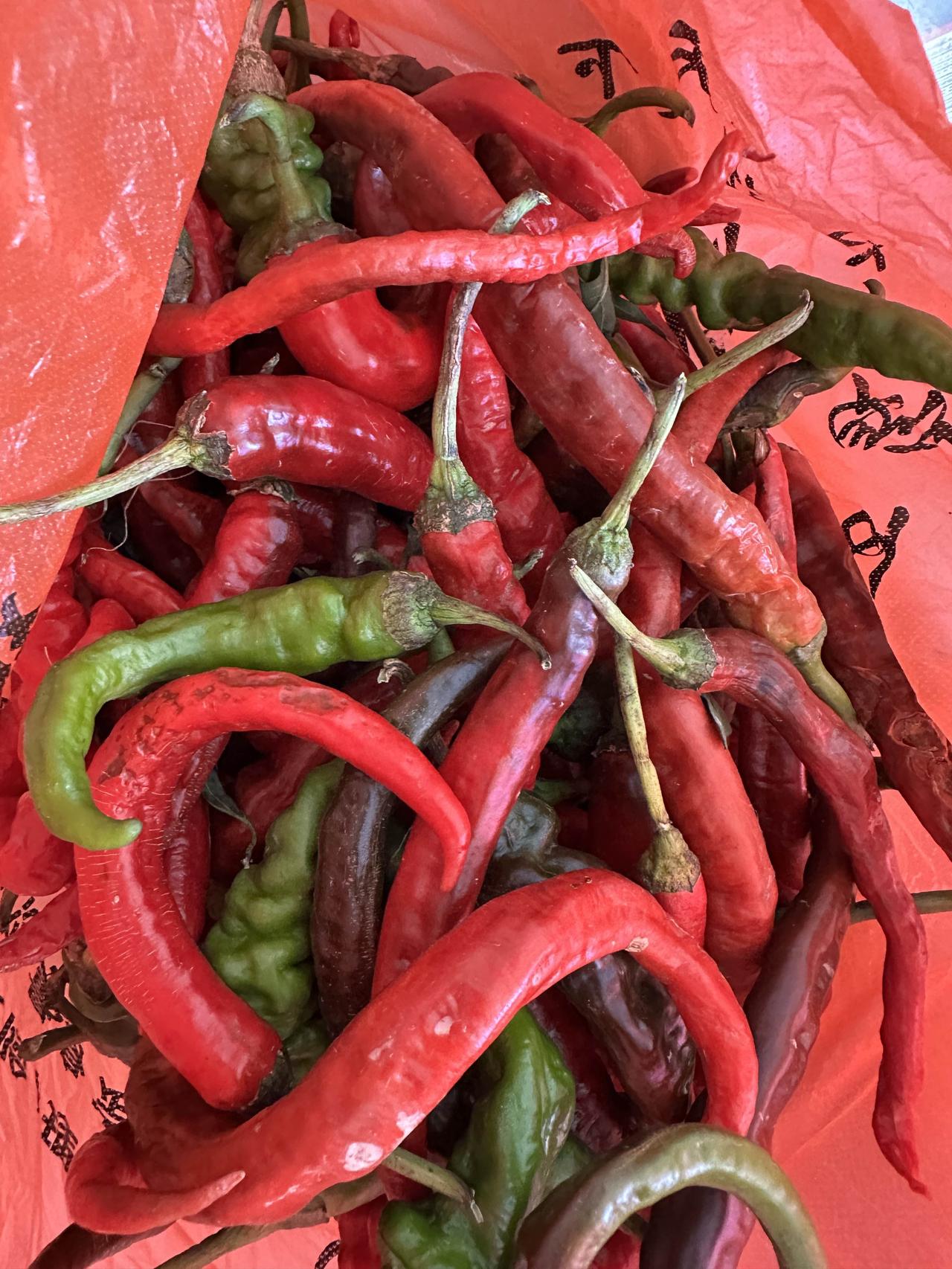 只要有机会，我都会晒点红辣椒干冬天炒菜用。今天特意去农贸市场买的红辣椒，1
