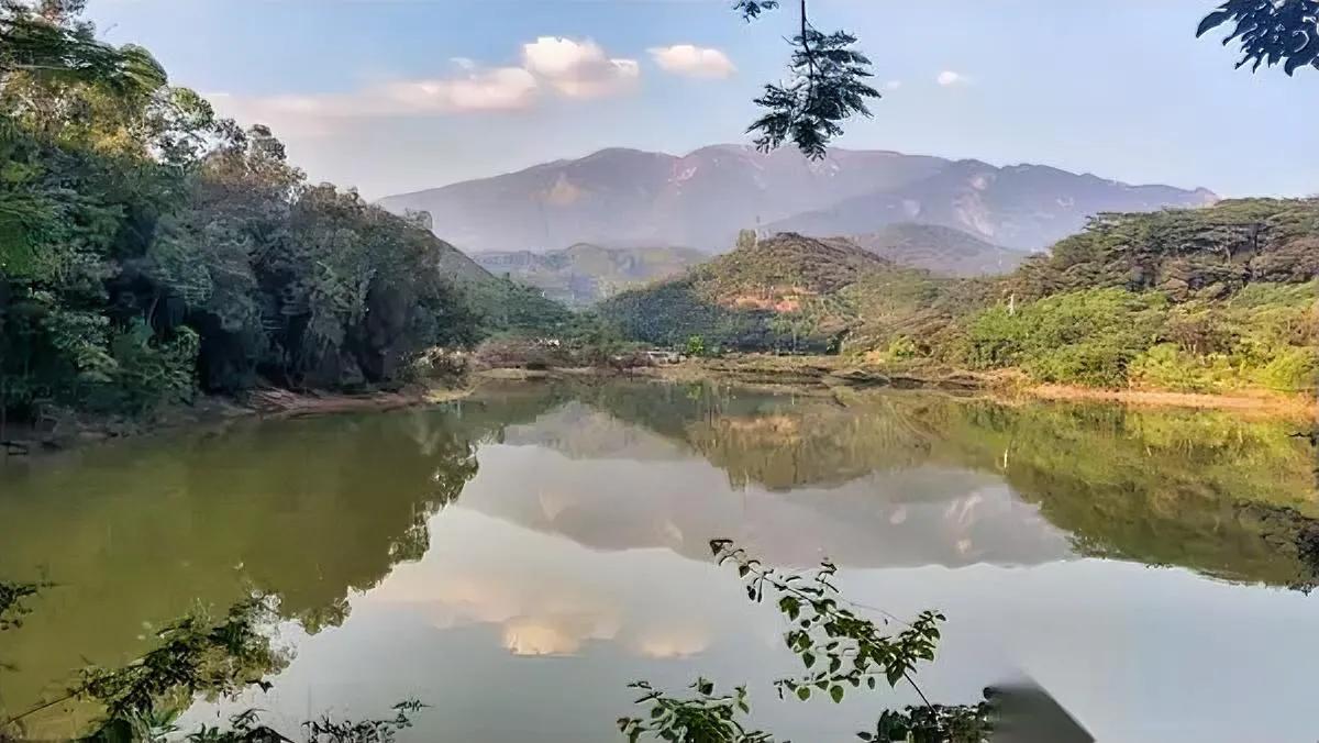 段永平一句话把我打醒。“时代也给你了，怎么没造出你？”我连夜把访谈二刷，