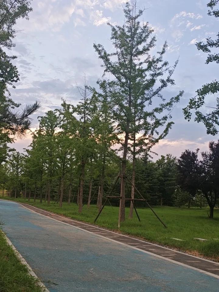 人到中年慢慢懂得，放空发呆从来不是虚度光阴。放下匆忙琐事，静静感受风与光影，独处