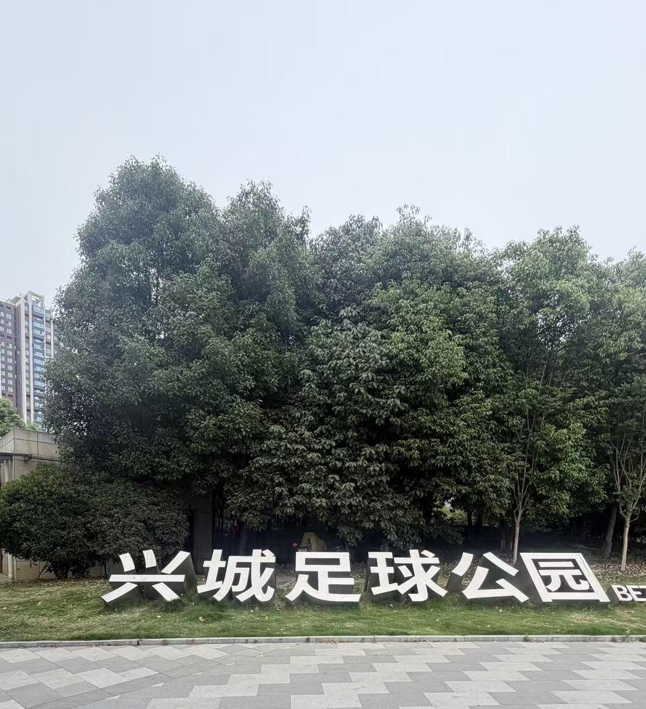 蓉城球迷不要高兴得太早！蓉城还没有你们想的那么强大，这次蓉城能有七人入选国足集训