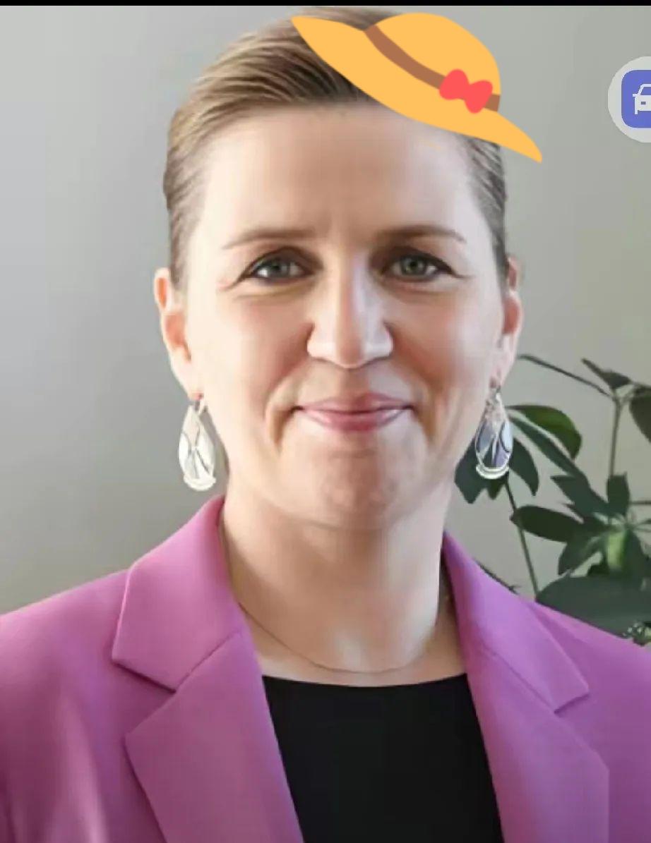 丹麦看来是保不住格陵兰岛了，与其便宜美国，还不如自己捞点干的，把格陵兰岛拍卖了，