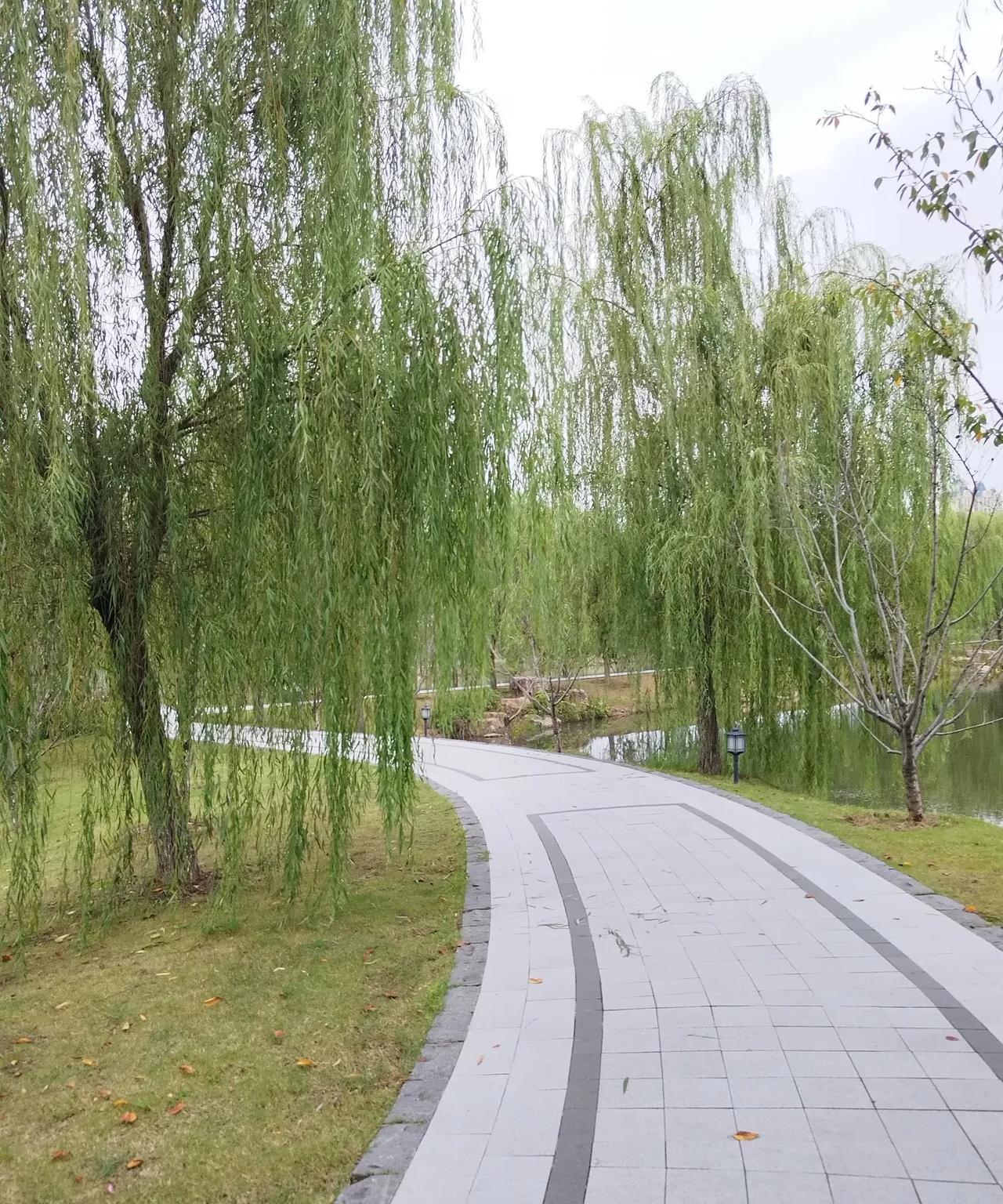 孩子长大了疏远父母，怨恨父母，还是有原因的。有的父母，确实在孩子小时候，不是那