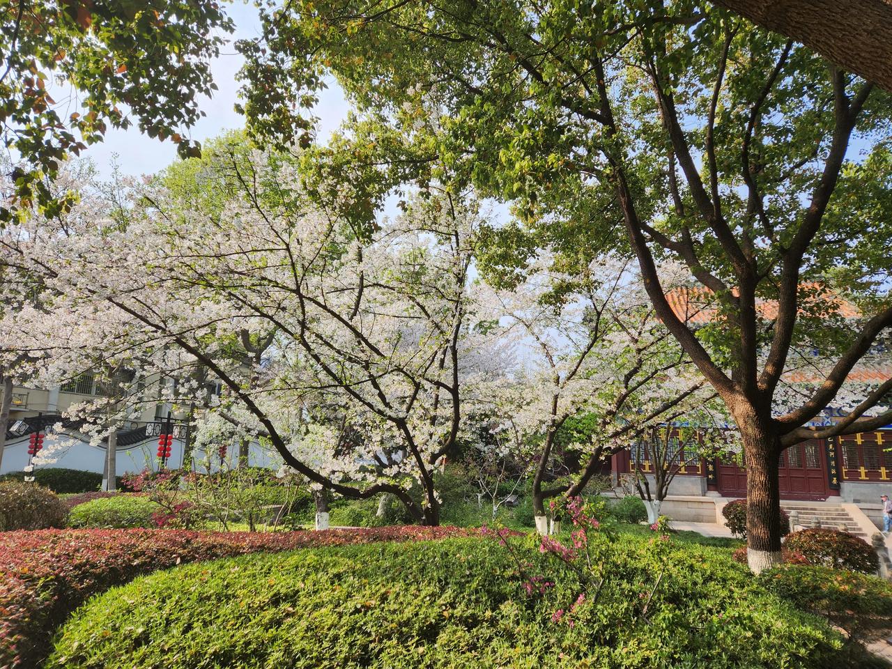 南京处处是景区啊今天出门逛逛，本来准备去天妃宫看看，但绕到了这个地方，还挺漂亮