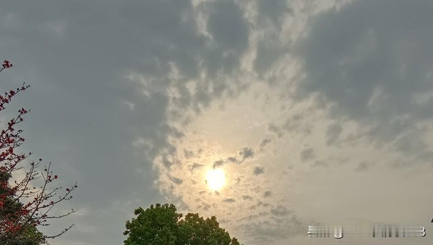 一位奶茶店上班的00后美女说:不可能吧！我一个月都有3000的工资，你们药店上